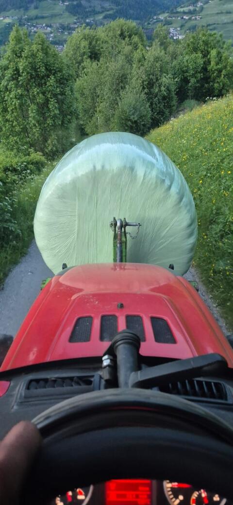 Suche Siloballen