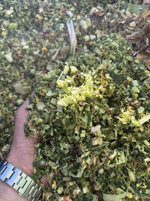 Maissilageballen