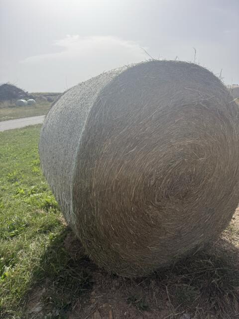 Heuballen
