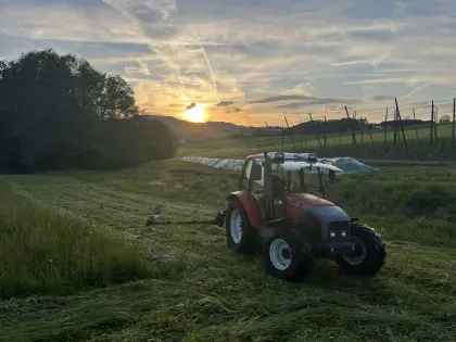 Lindner Geotrac 50A, alle Öle und Filter neu (Gr. Service)