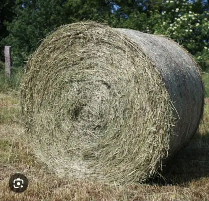 Heuballen