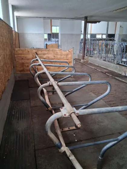 Kälberaufstallung