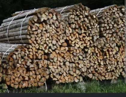 Brennholz im Bündel