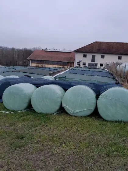 Verkaufe Maisballen
