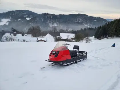 Motorschlitten Alpine Ski-Doo