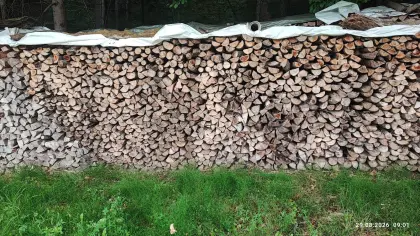 Brennholz