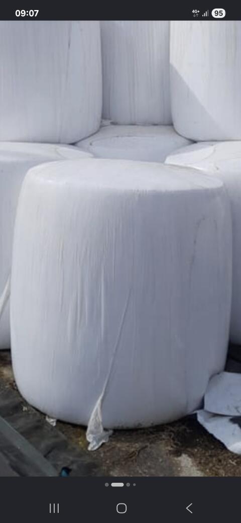 Maissilageballen