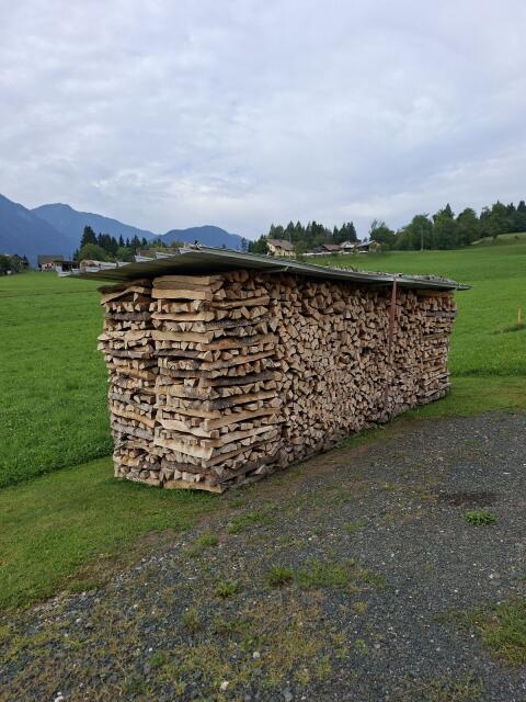 Buchenholz zu verkaufen