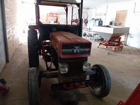 Massey Ferguson MF 135, fahrbereit, Oldtimer Traktor