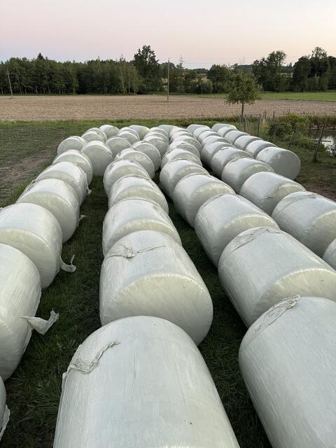Maisballen