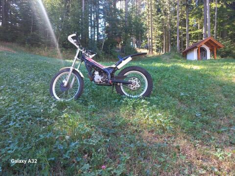Beta Trail Senioren 80
