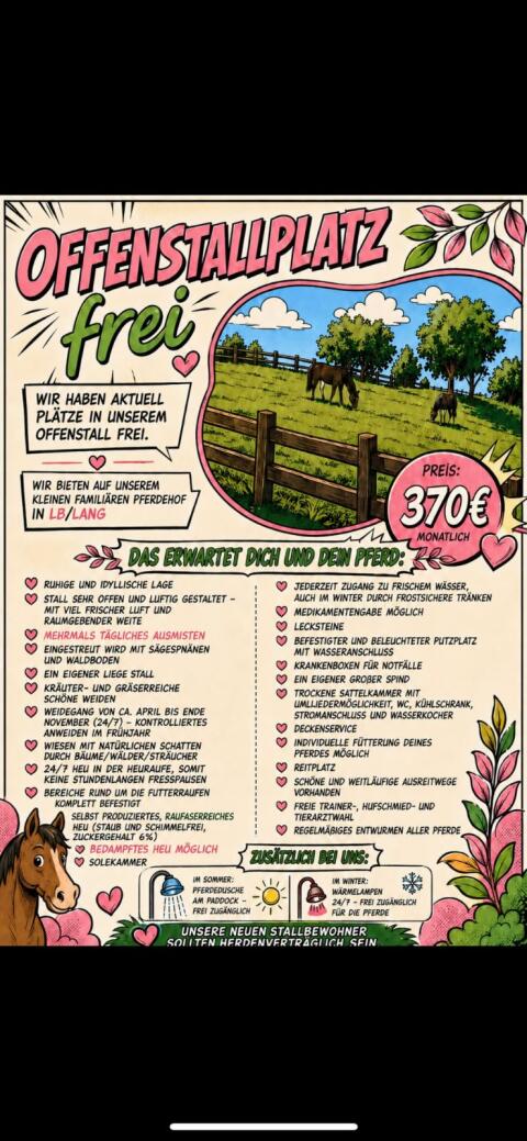 Einstellplatz im Offenstall