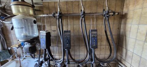 Rohrmelkanlage DeLaval
