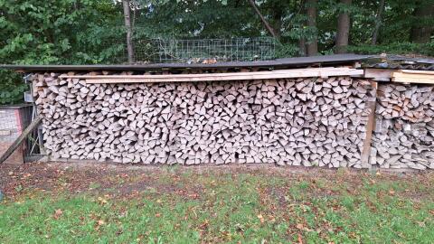 Brennholz Buche