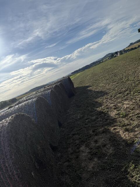 Verkaufe Bio-Silageballen