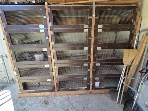 Stall Kaninchen, Hasen, Meerschweinchen, Wachteln
