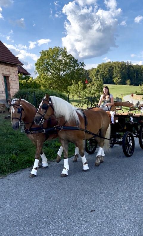 Kutschenfahrten