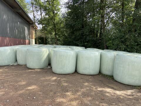 Maisballen Bio/konventionell