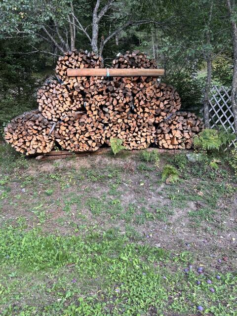 Brennholz