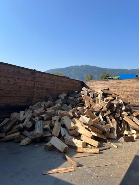 Trockenes Hartholz-Brennholz (Esche) aus Friesach