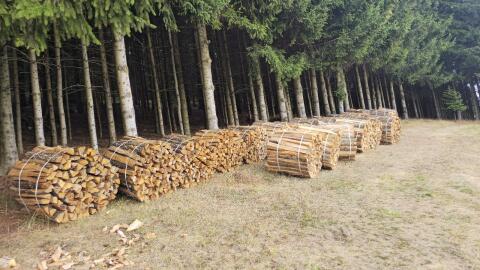 Verkaufe Brennholz