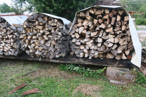 Buchenbrennholz