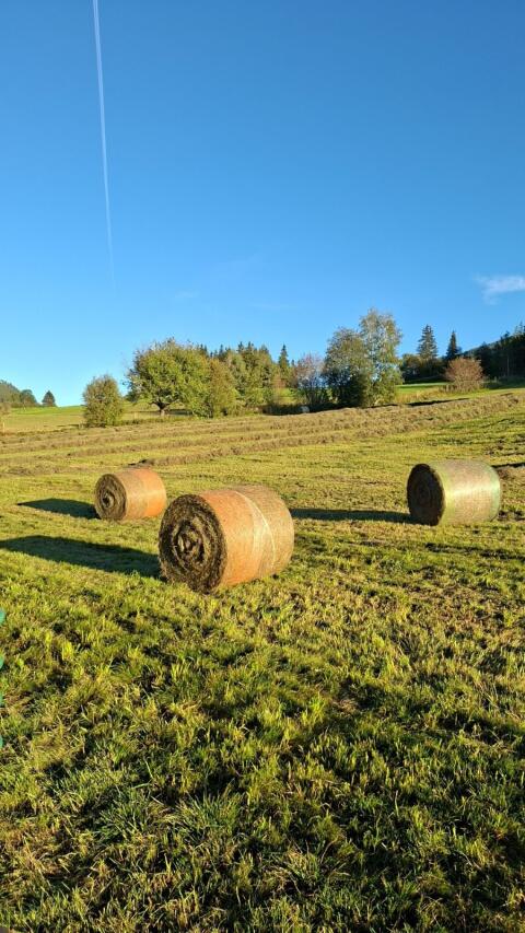 Heuballen 2. Schnitt 2026