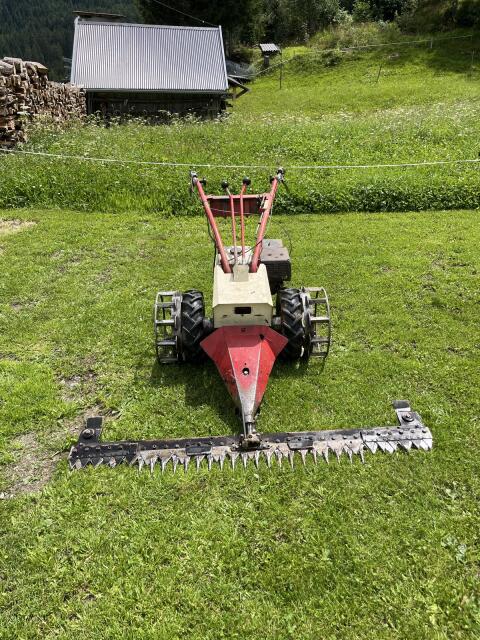 Rapid 303 Motormäher