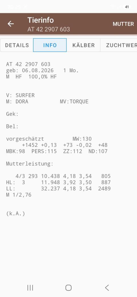 HF-Stierkalb