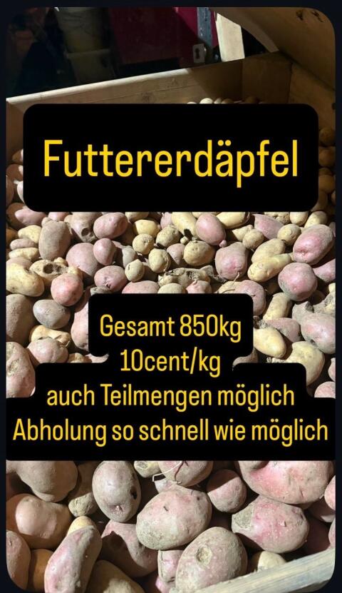 Futtererdäpfel