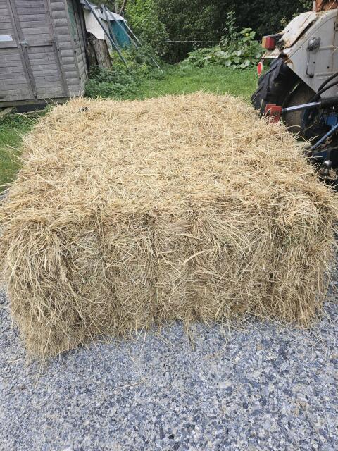 Heu in Quaderballen