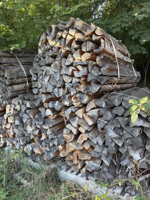 Weichholz