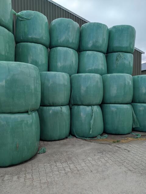 Heulage Rundballen