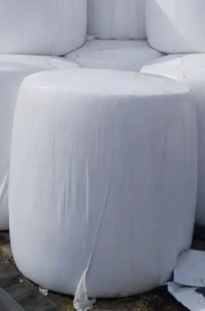Maissilageballen