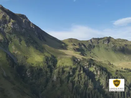 Eigenjagd zu verkaufen, ein Naturjuwel in Saalbach!