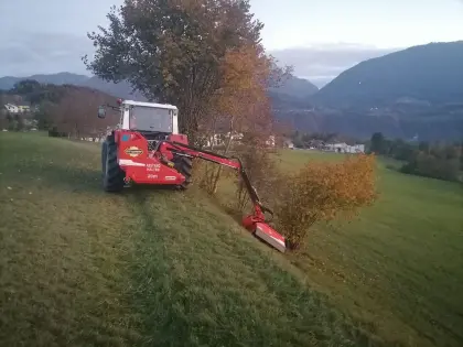 Biete land- und forstwirtschaftliche Arbeiten