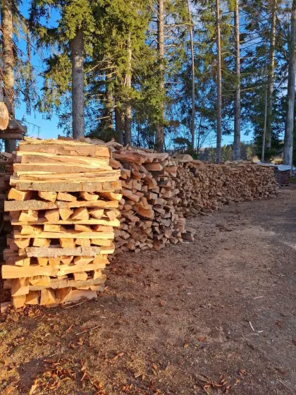 Kaminholz