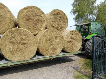 Heuballen, Pferdeheu
