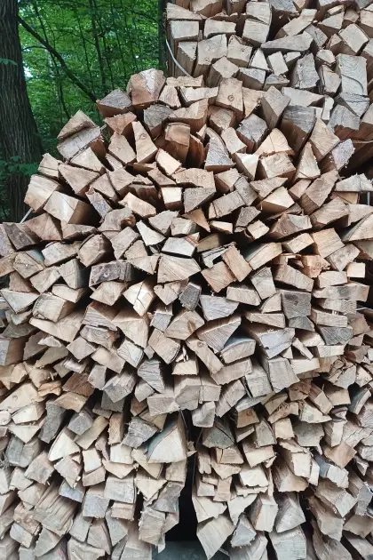 Buchen-Brennholz