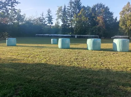 Silageballen, Ernte September 2026