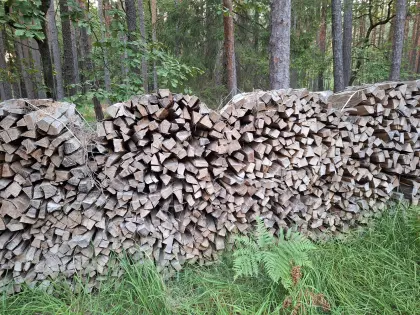 Kaminholz
