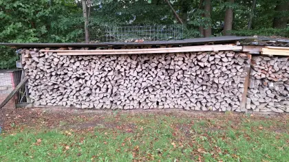 Brennholz Buche