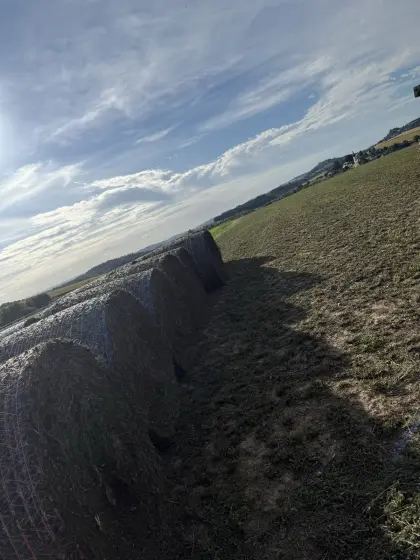 Verkaufe Bio-Silageballen