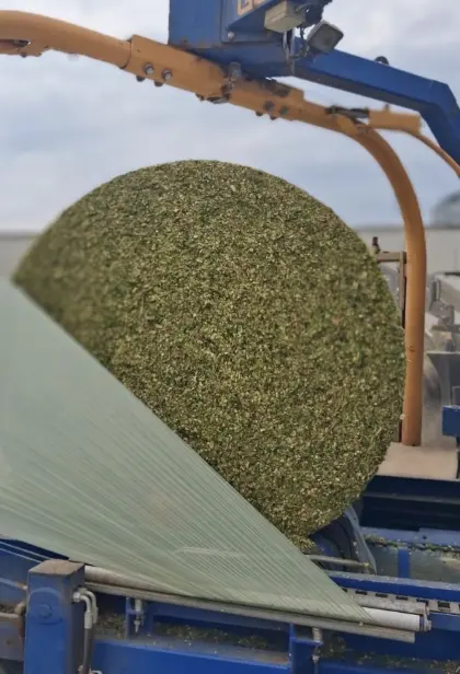 Maissilageballen
