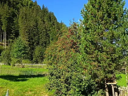 Einstellplatz für Ponys