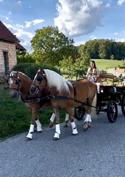 Kutschenfahrten