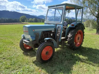 Eicher Königstiger