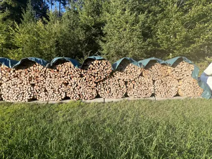 Buchenholz