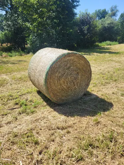 30x Rundballen Heu, Pferdeheu, 120 cm