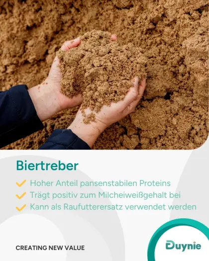 Biertreber, proteinreiches Futtermittel